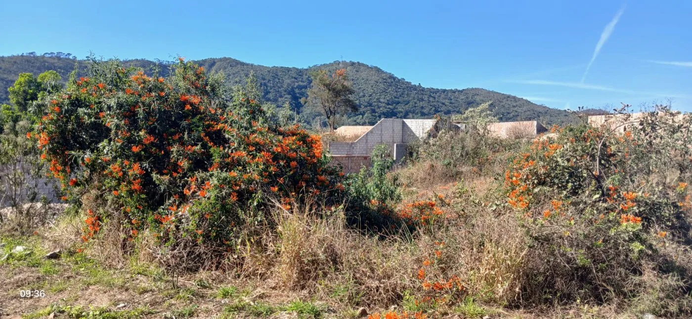Lote para Venda, Sabará / MG, bairro Villa Real, terreno 594 m²