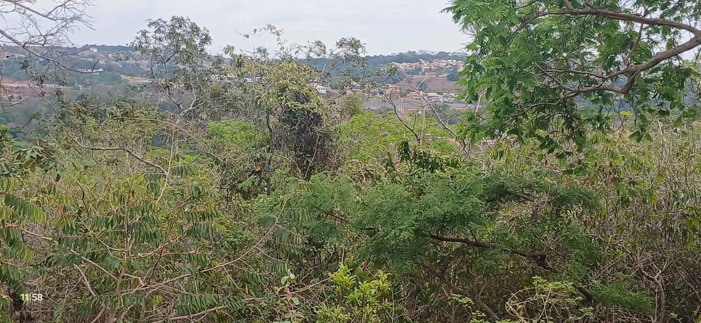 Lote para Venda, Lagoa Santa / MG, bairro Fernão Dias, terreno 974,31 m²