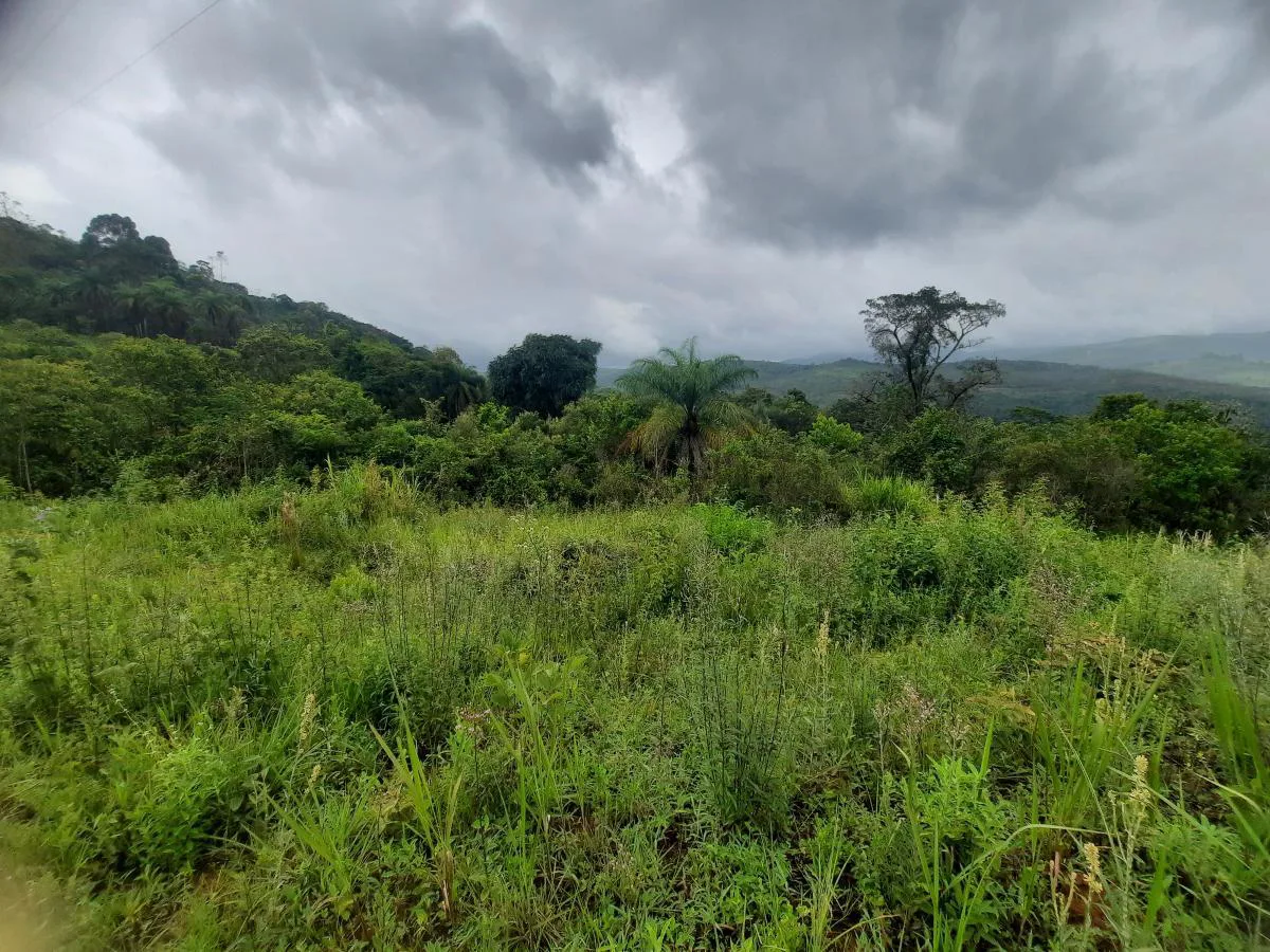 Terreno para Venda, Caeté / MG, bairro Estrada Sabará / Caeté, terreno 20 m²