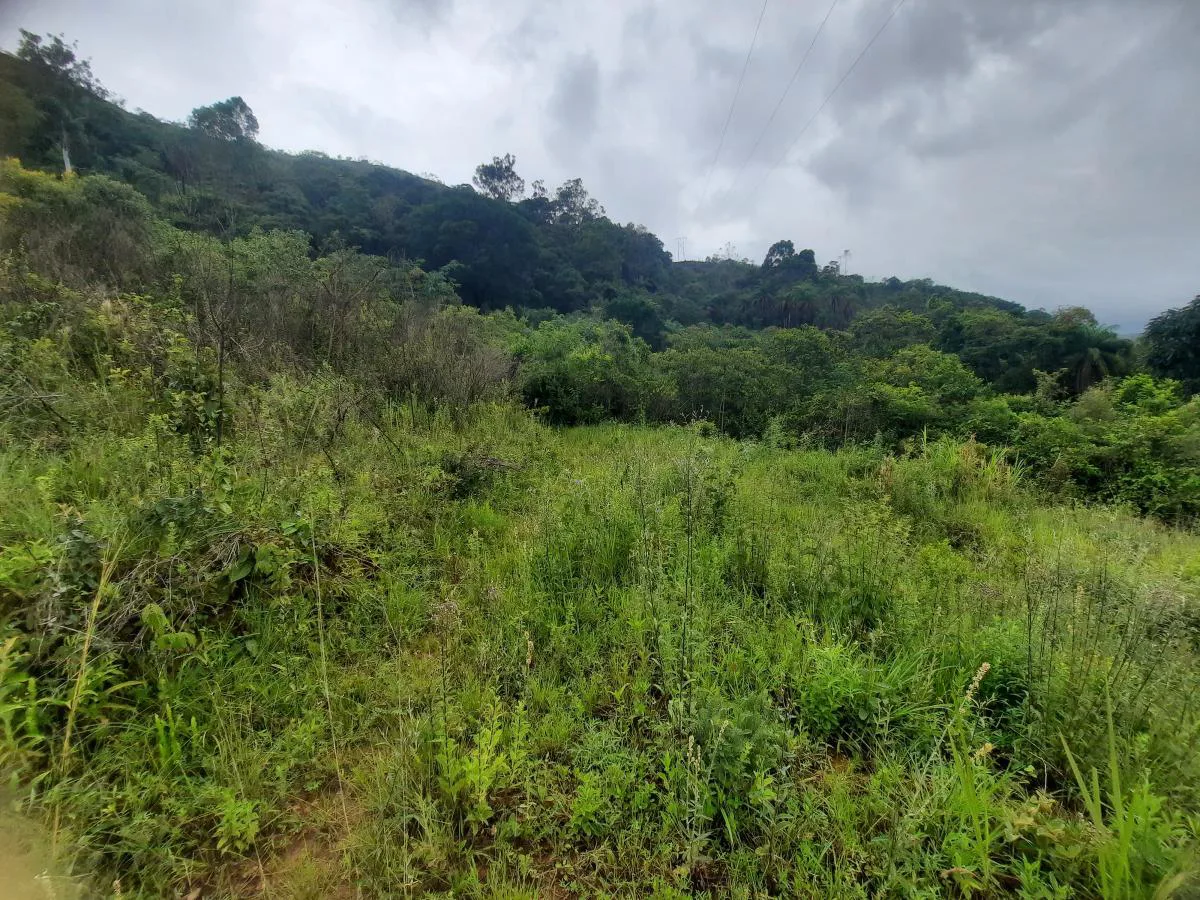 Terreno para Venda, Caeté / MG, bairro Estrada Sabará / Caeté, terreno 20 m²