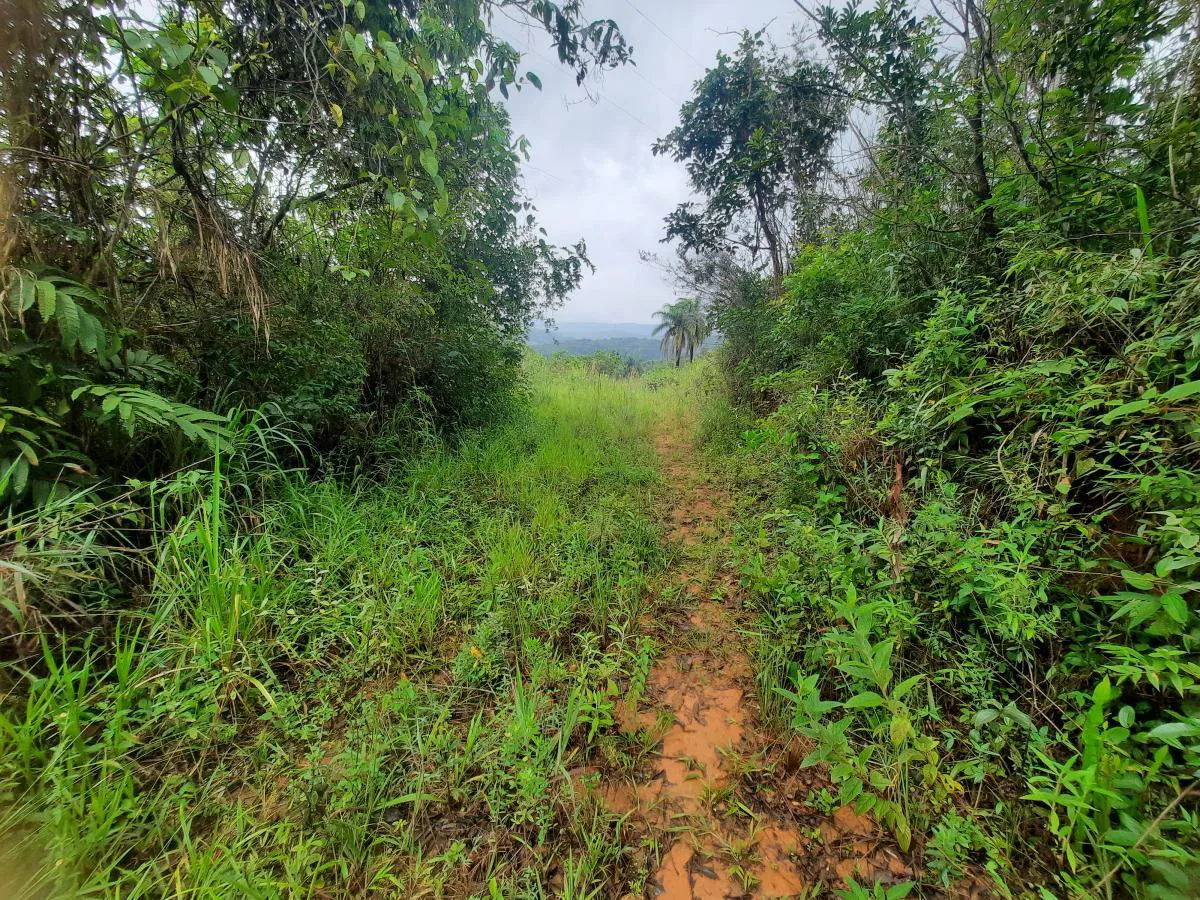 Terreno para Venda, Caeté / MG, bairro Estrada Sabará / Caeté, terreno 20 m²