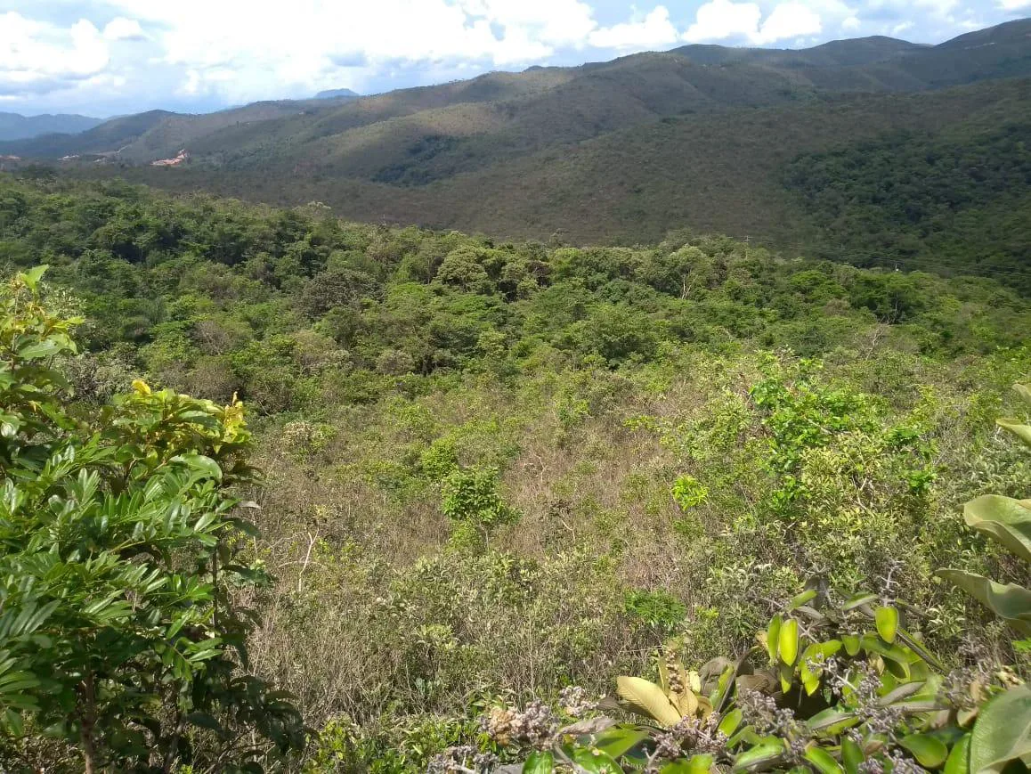 Terreno para Venda, Sabará / MG, bairro Arraial Velho, terreno 1.020 m²
