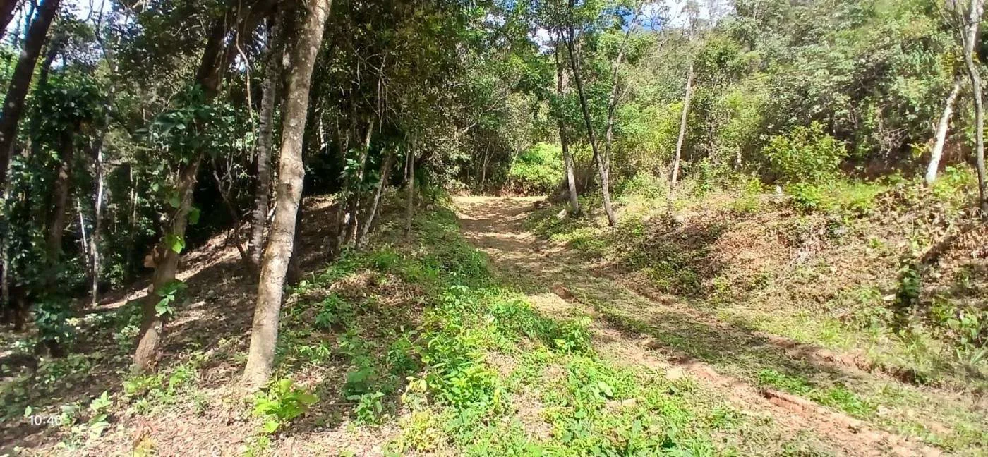 Terreno para Venda, Sabará / MG, bairro Arraial Velho, terreno 15.000 m²