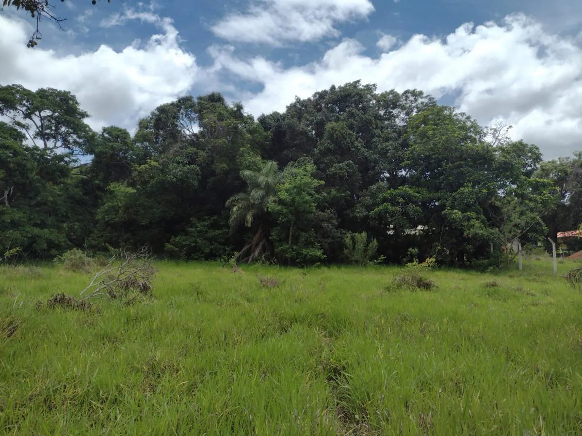 Terreno para Venda, Lagoa Santa / MG, bairro Lapinha, terreno 6.000 m²