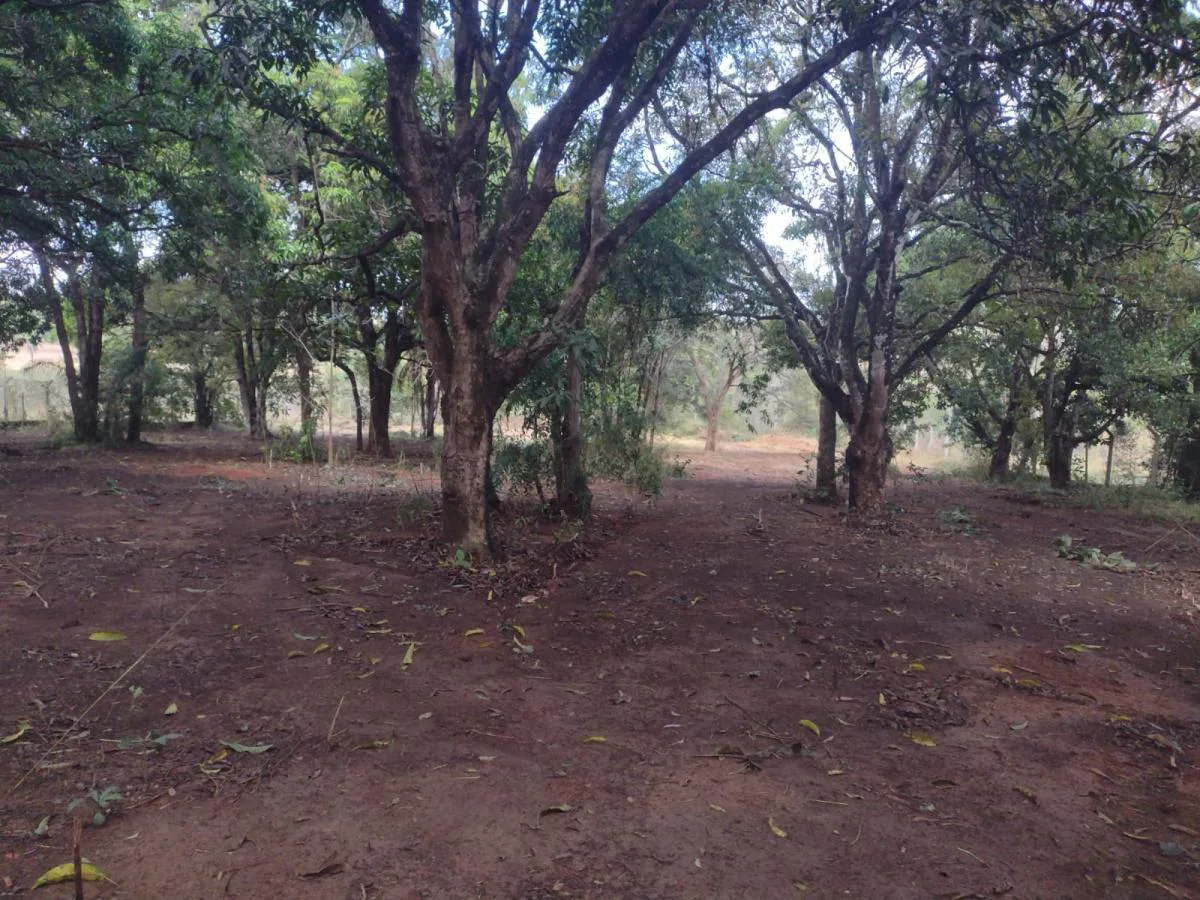 Terreno para Venda, Lagoa Santa / MG, bairro Lapinha, terreno 6.000 m²